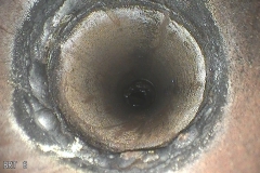 100IPLEX_00080