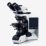 BX53-P Microscope