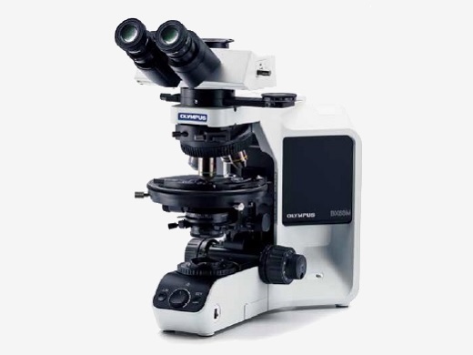 BX53-P Microscope